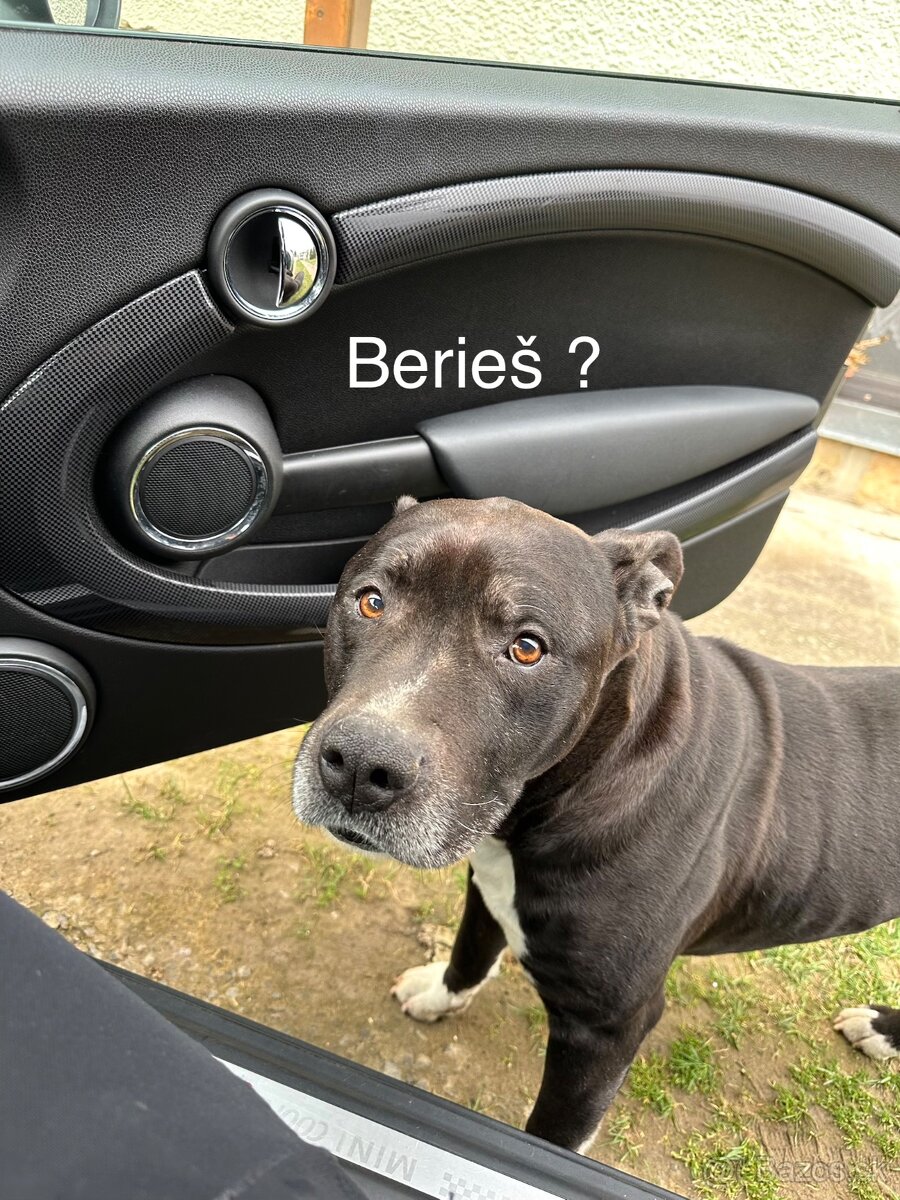 Mini Cooper S R56, 1.6 135kw 2011 - 10