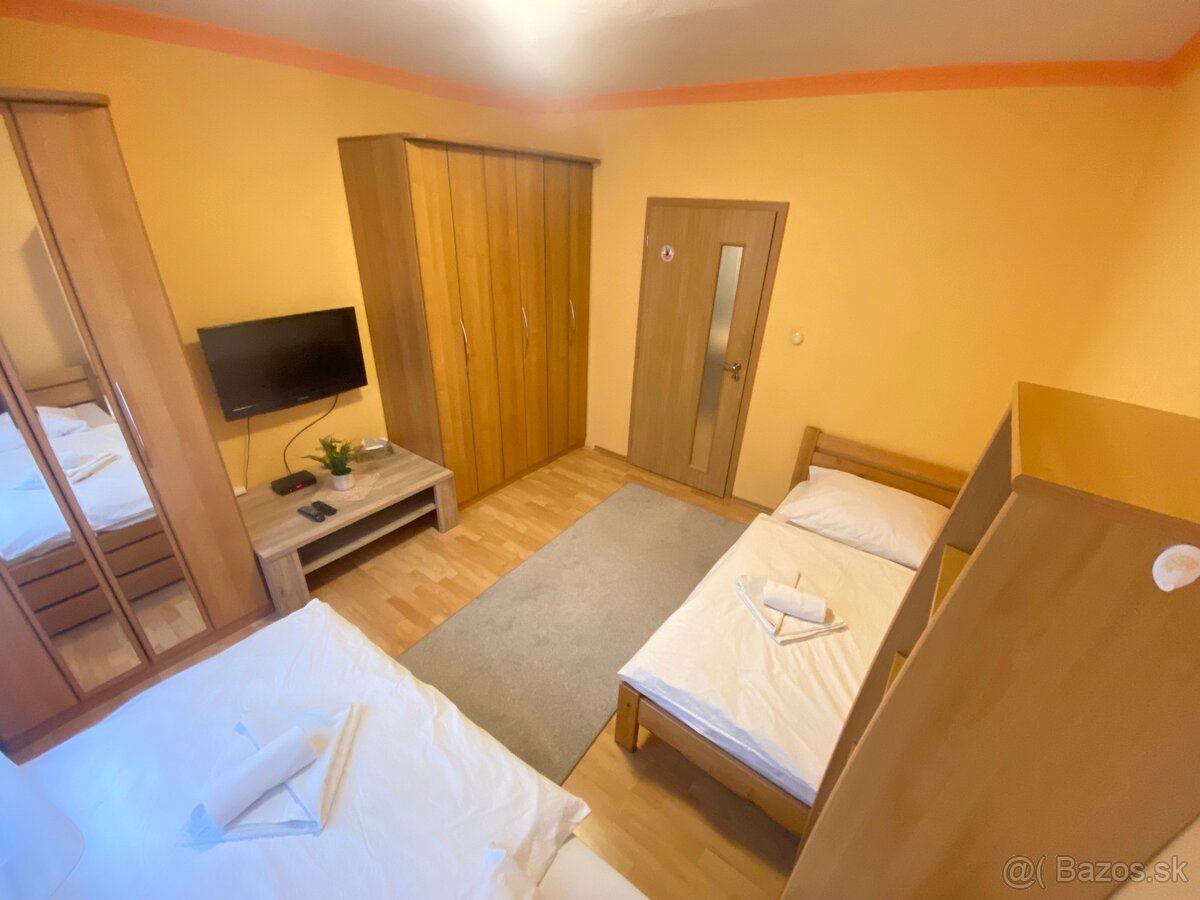 Ubytovanie Levice - 10