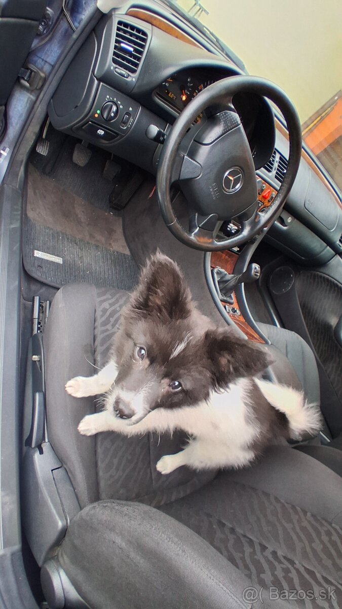 Mercedes CLK Coupe - 10