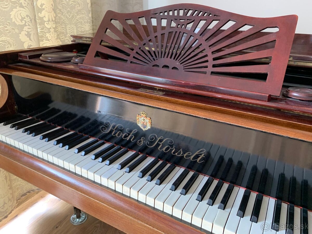 Krídlo Koch & Korselh - 10