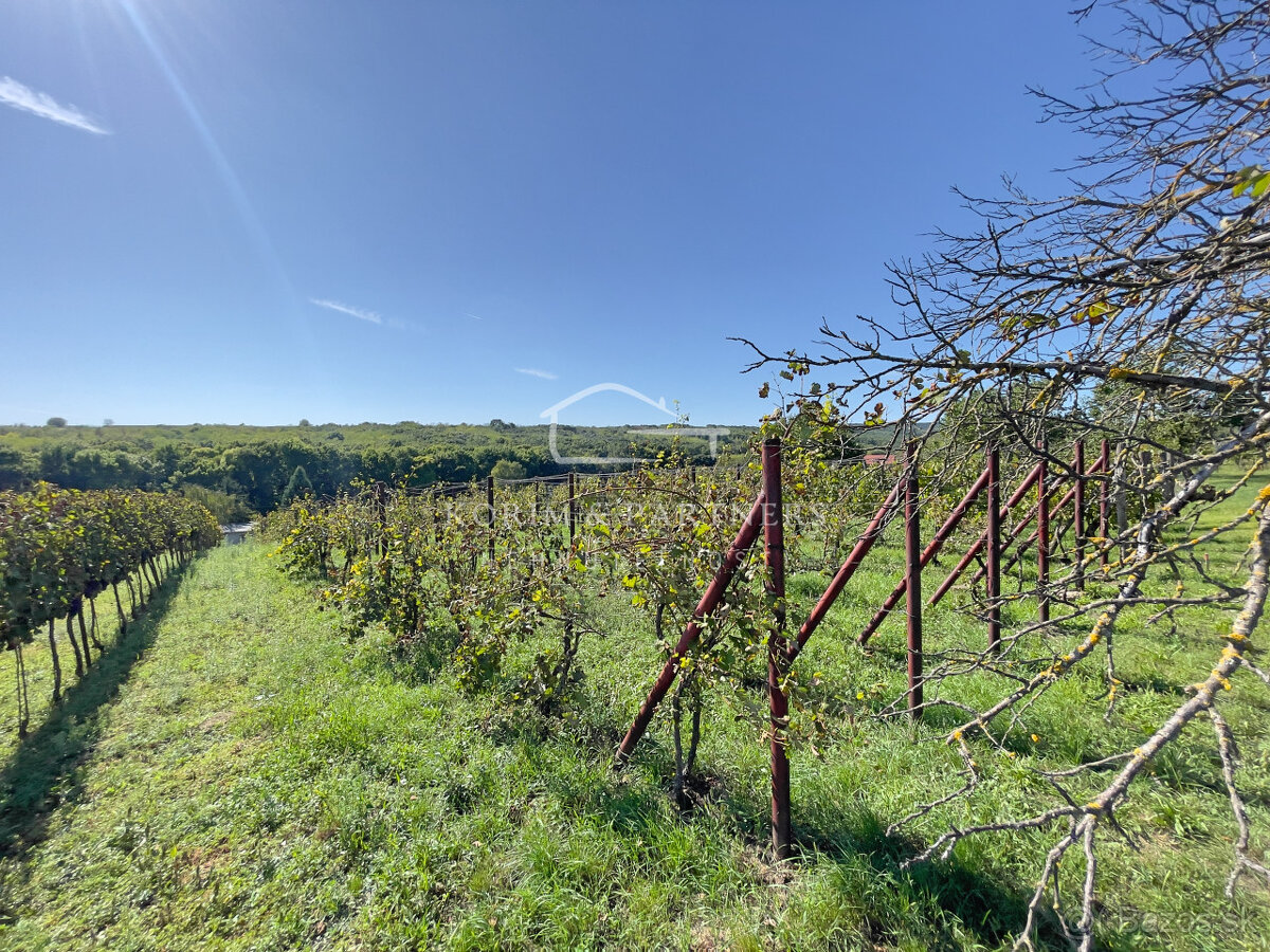 Vínny domček pre majstra vinára - 10