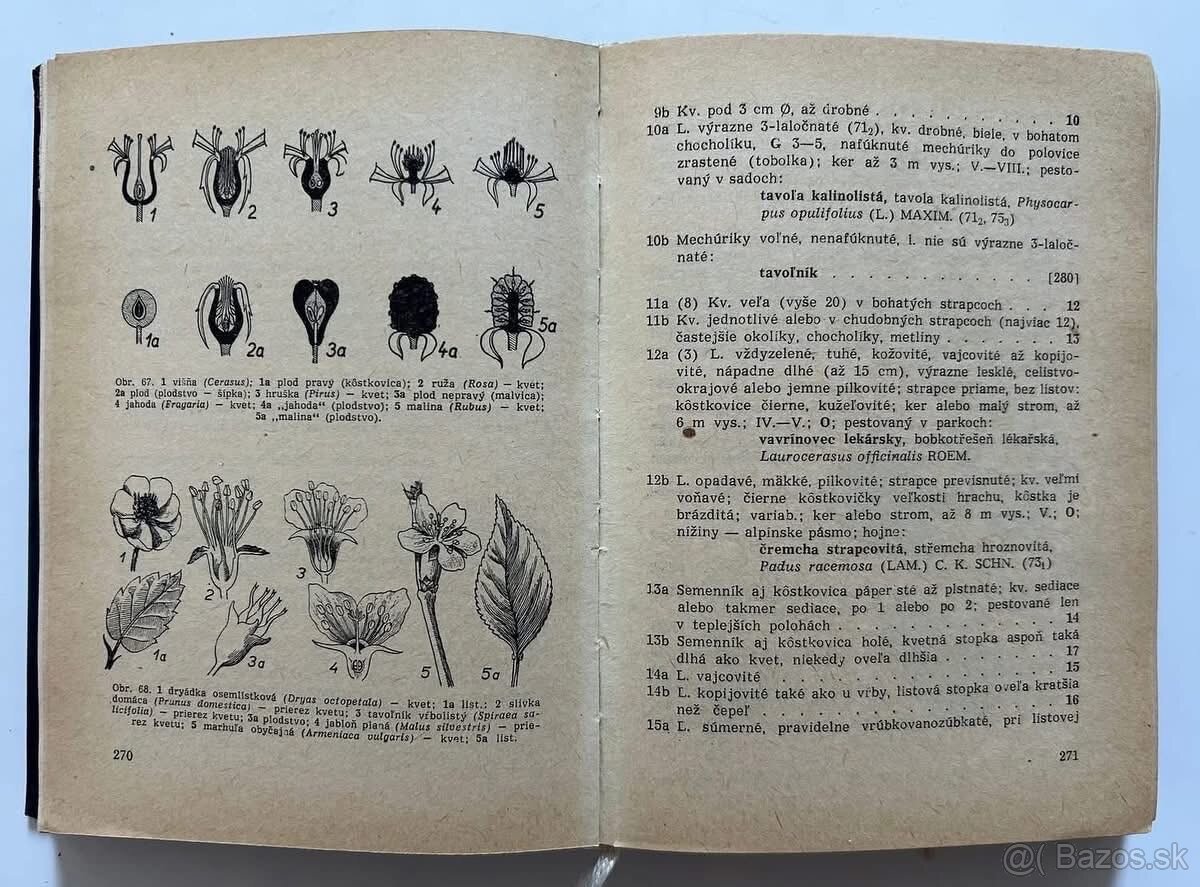 LIEČIVÉ BYLINKY + PRÍRODNÁ LIEČBA - 10