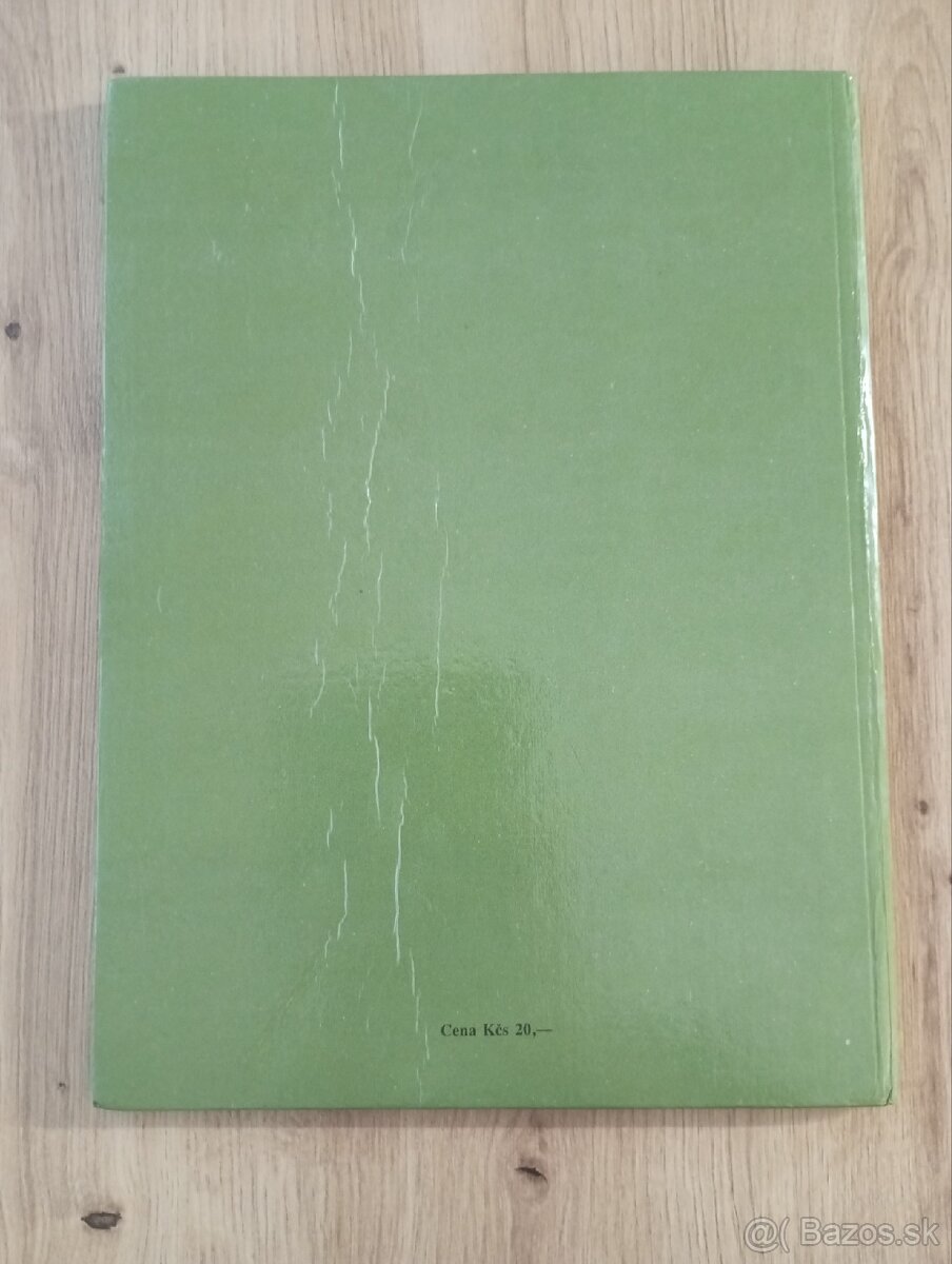 O psíkovi a mačičke - 10