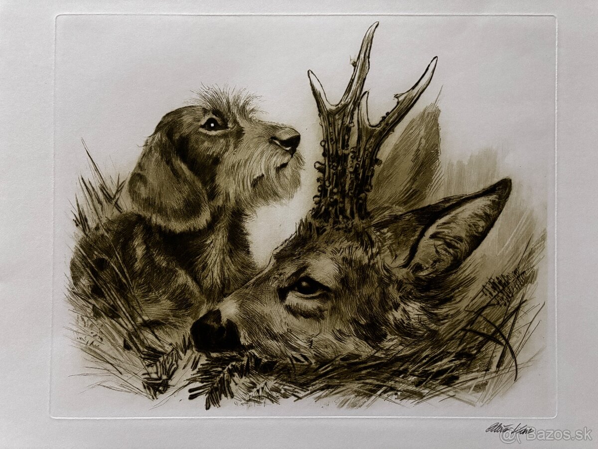 Ales Vaic - lesnicka tematiky - 10