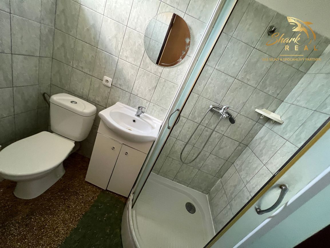 Penzión na predaj neďaleko termálneho kúpaliska Podhájska - 10