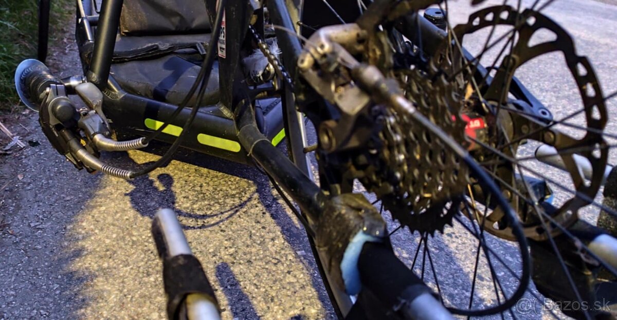 Shmicking Handbike - 10