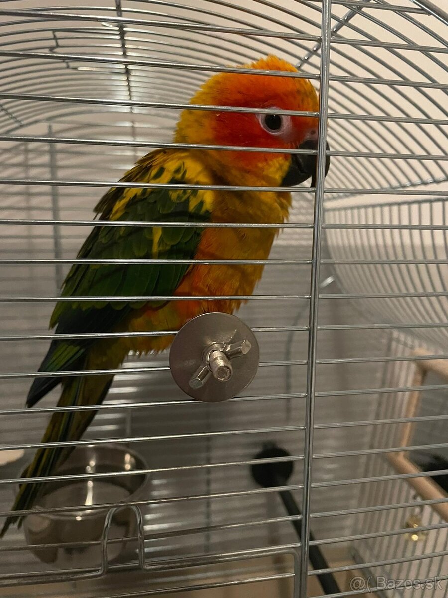 Ručne dokrmene - 10