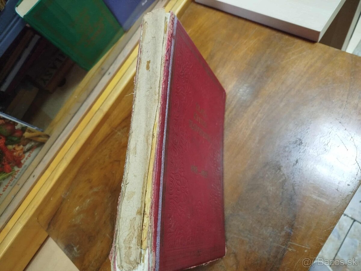 ZLATÁ KNIHA SLOVENSKA 1918 – 1928--Kolesár Miloš--1929--Jubi - 10