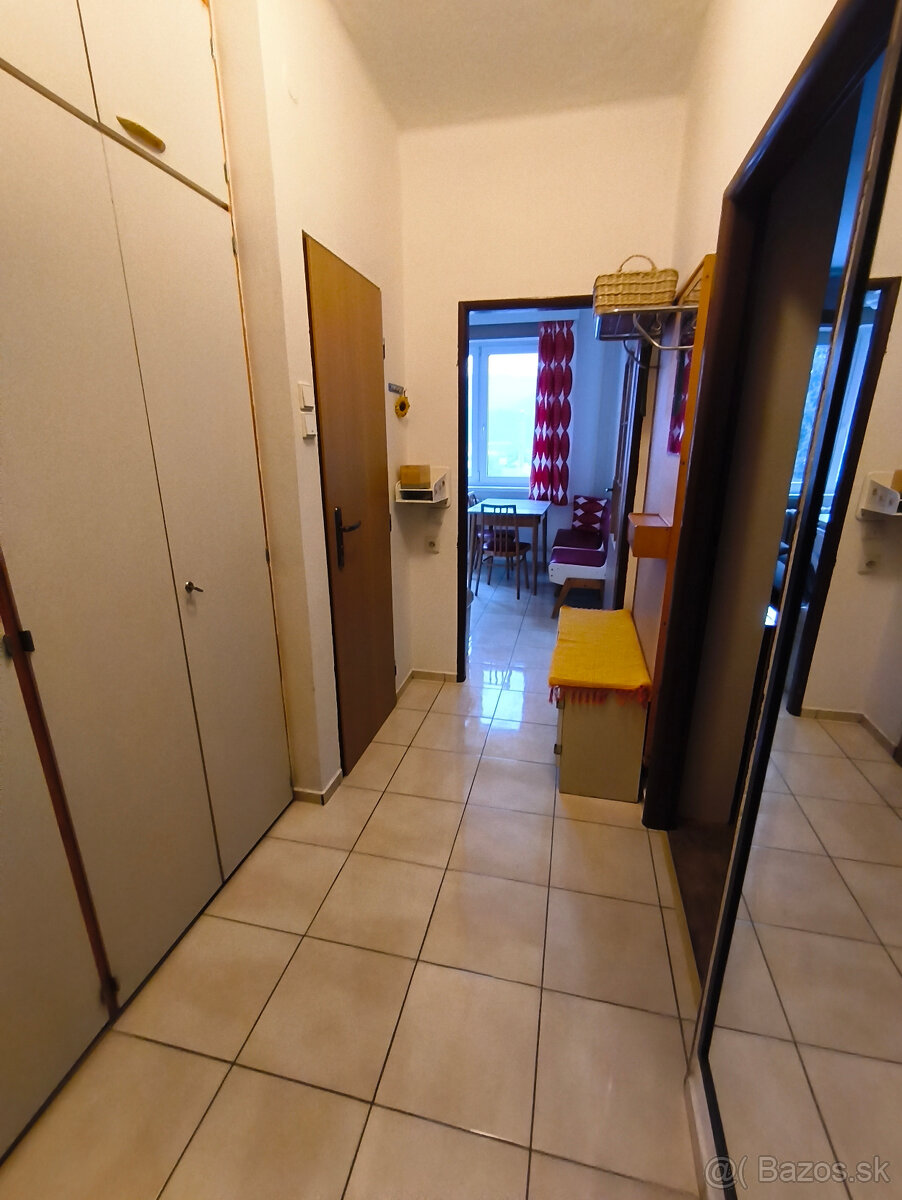 Priestranný 1-izbový byt v tehlovej bytovom dome - 10