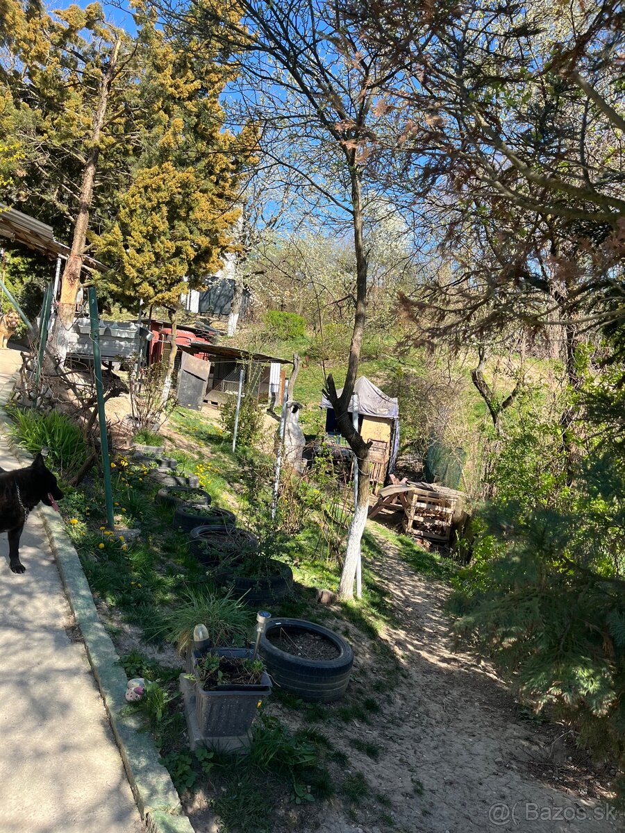Stavebny Pozemok, Chata, Zahrada - 10
