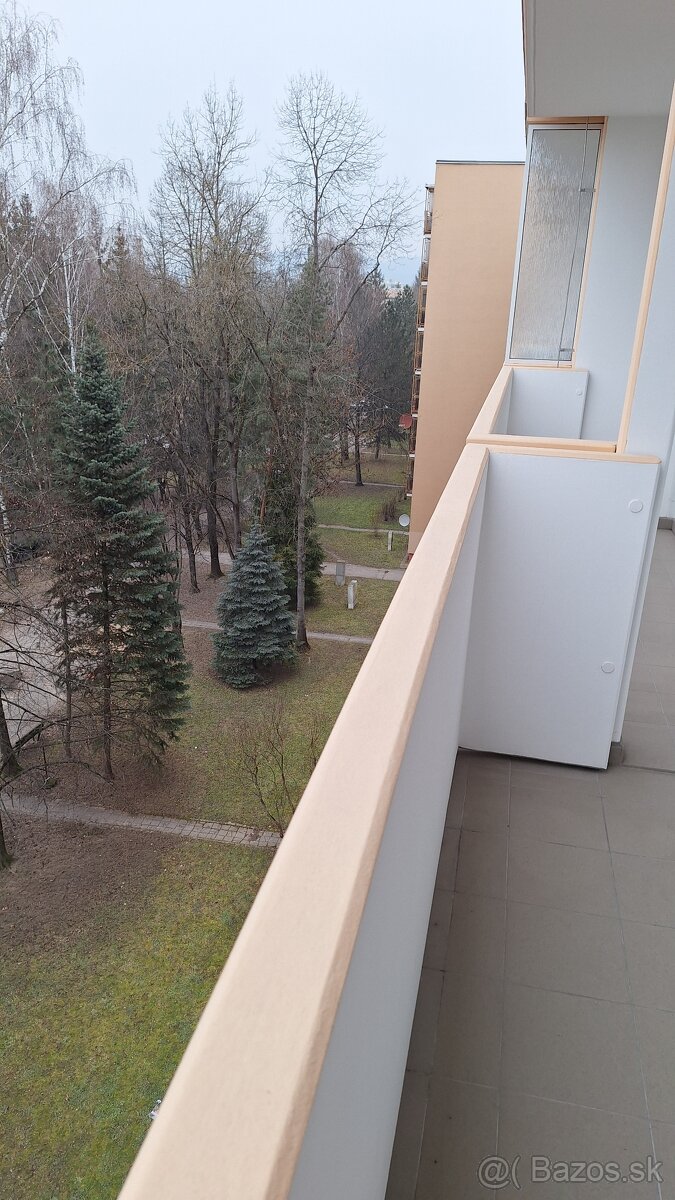 1 izbový byt ( 2+kk ) - 10