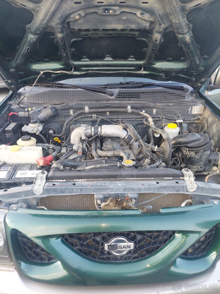 Terrano - 10
