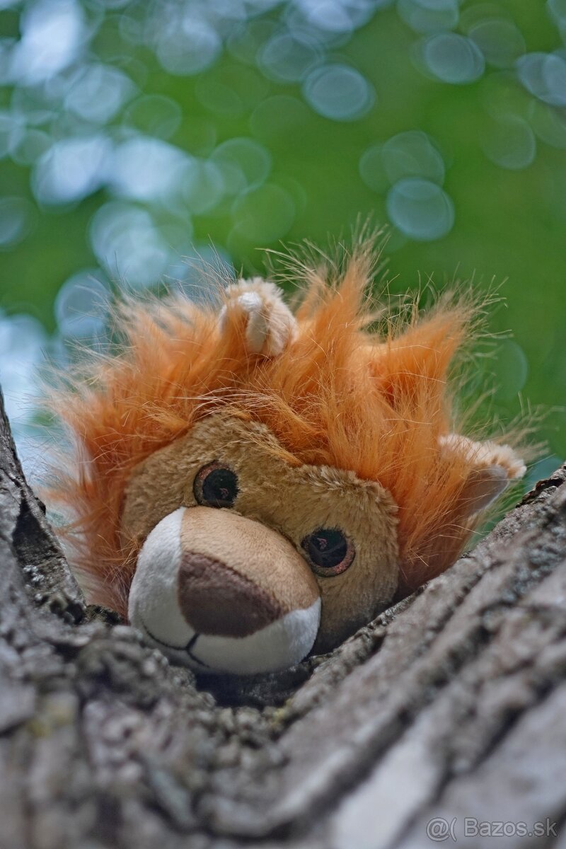 Objektiv Helios 44M-4 58mm f2 M42 - 10