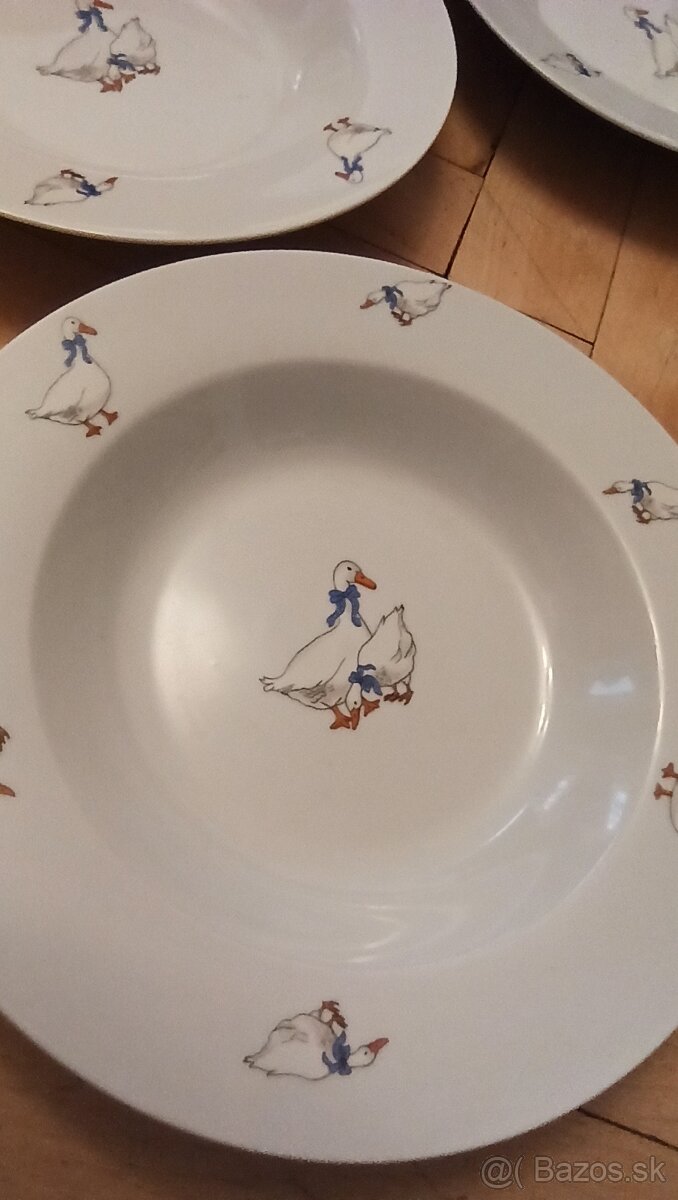 Predám taniere cibulák a húsky - 10