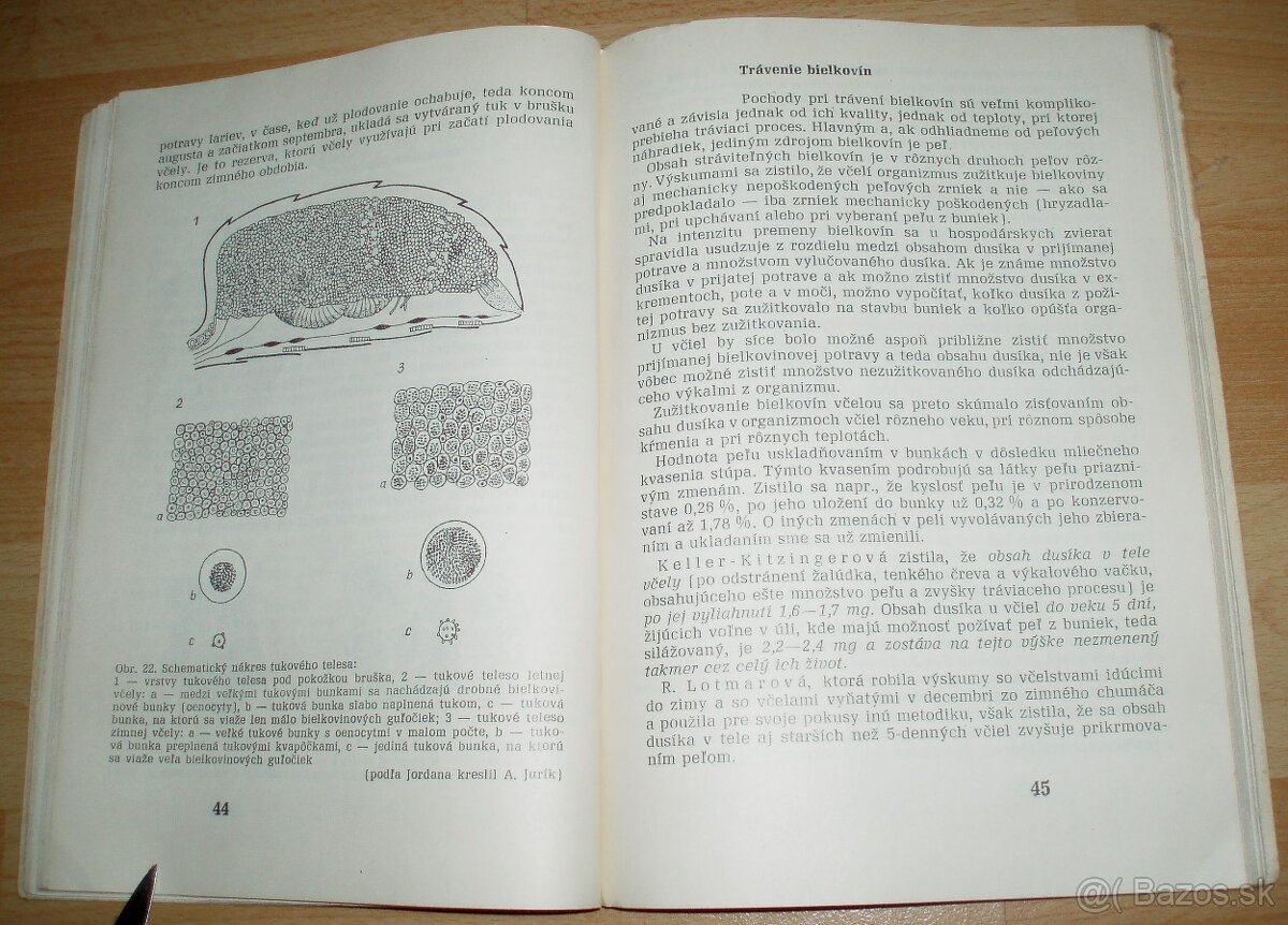 Výživa a kŕmenie včelstiev - 10