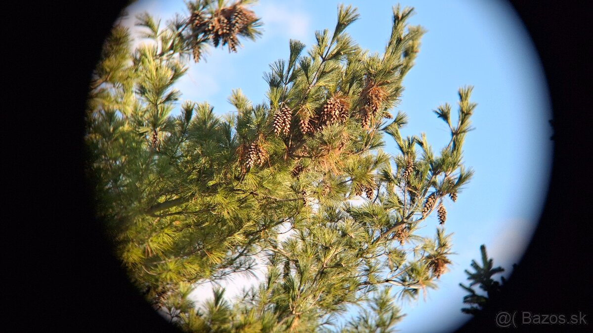 Ďalekohľad BPC 10X50 SOTEM - 10