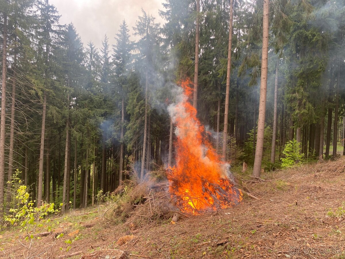 Tazba dreva, pestebná činnosť - 10