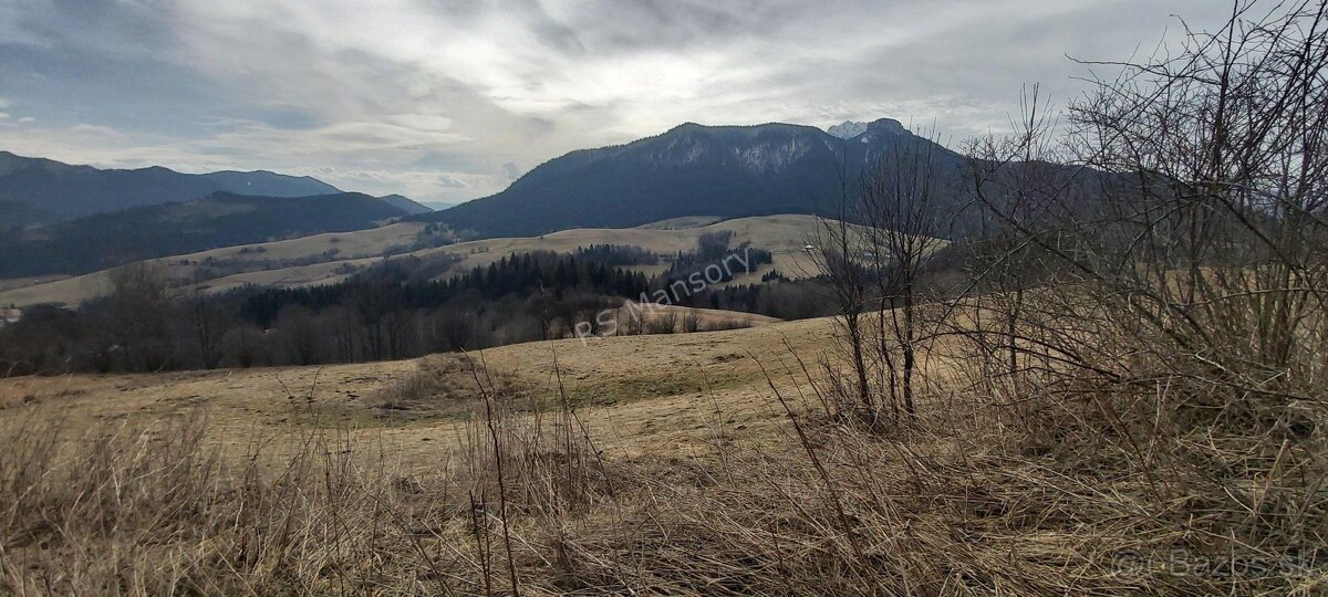 NA PREDAJ, pozemok 5075m2 v obci Zázrivá - 10