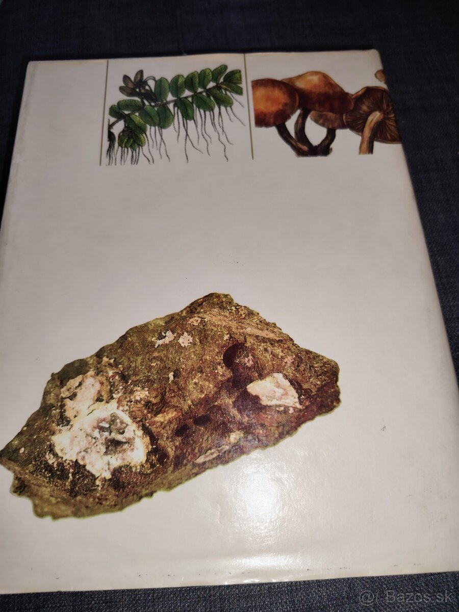 Z našej prírody - 10