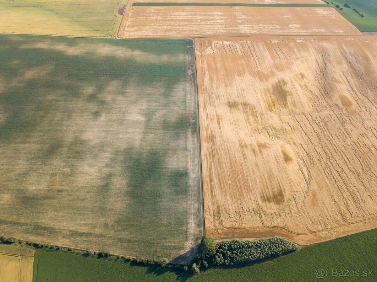 Pastuchov (Hlohovec) - 9.956 m2 ORNÁ PÔDA v komasácii - 10