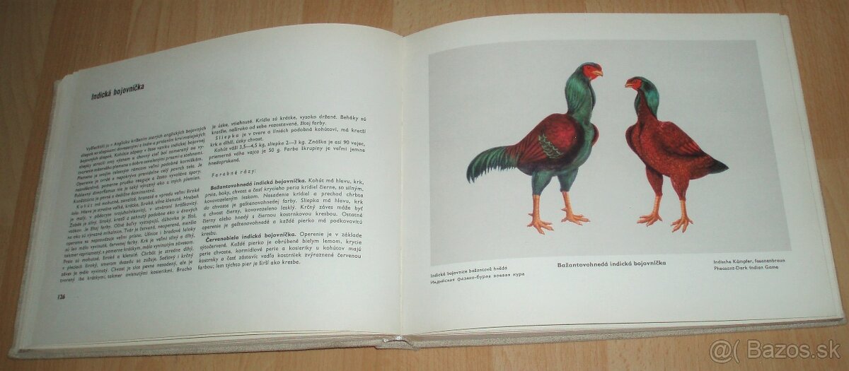 Atlas plemien hydiny - 10