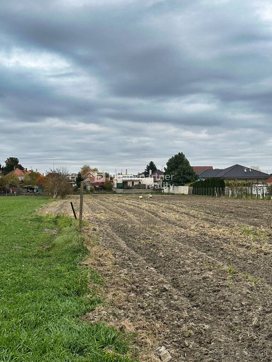 Stavebný pozemok 4702 m² v obci Trstice, Galanta - 10