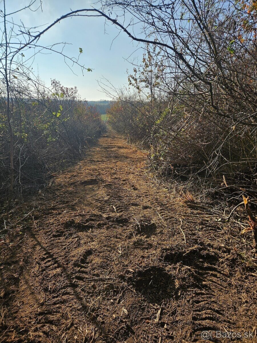 Čistenie pozemkov od naletovych drevín lesná fréza - 10