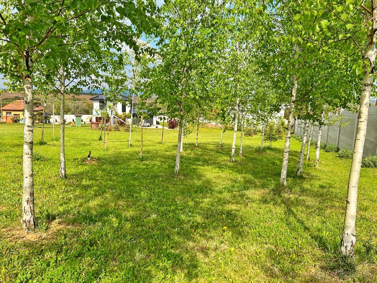 VRÁBLE - rodinný dom s pozemkom 2000 m2 - 10