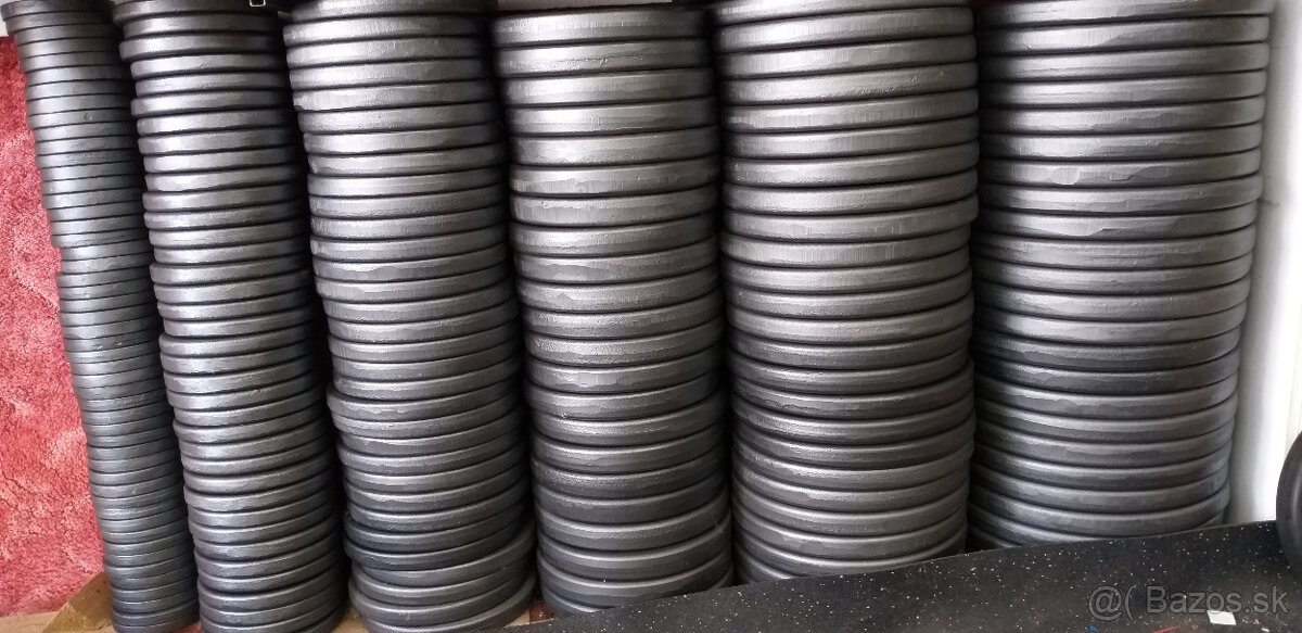 Ocelové kotouče s úchopy TOPSPORT - 10