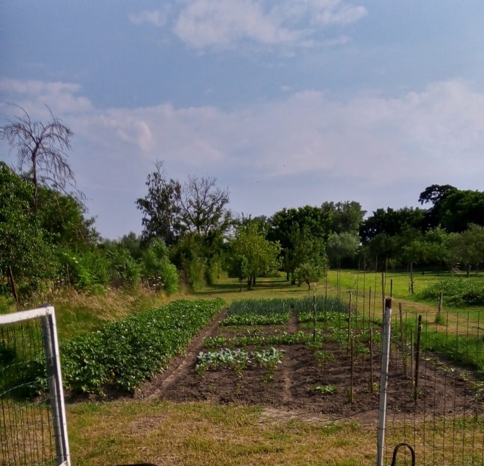 Veľký rodinný dom v obci Očkov - 10