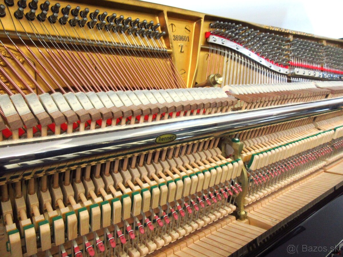 luxusný Steinway and Sons pre solventných - 10