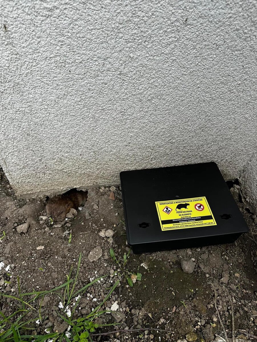 DERATIZÁCIA, DEZINFEKCIA, DEZINSEKCIA - 10