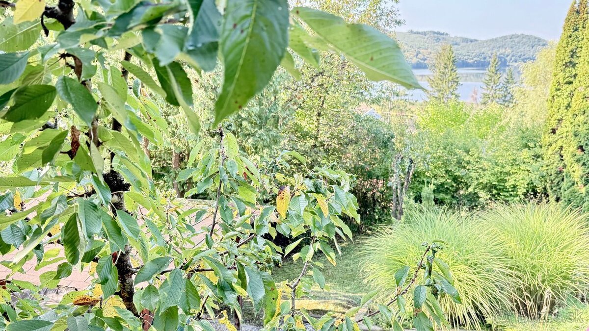 MAĎARSKO - JAZERO RAKACA - 4 IZBOVÁ CHATA, TERASA, VÍRIVKA. - 10