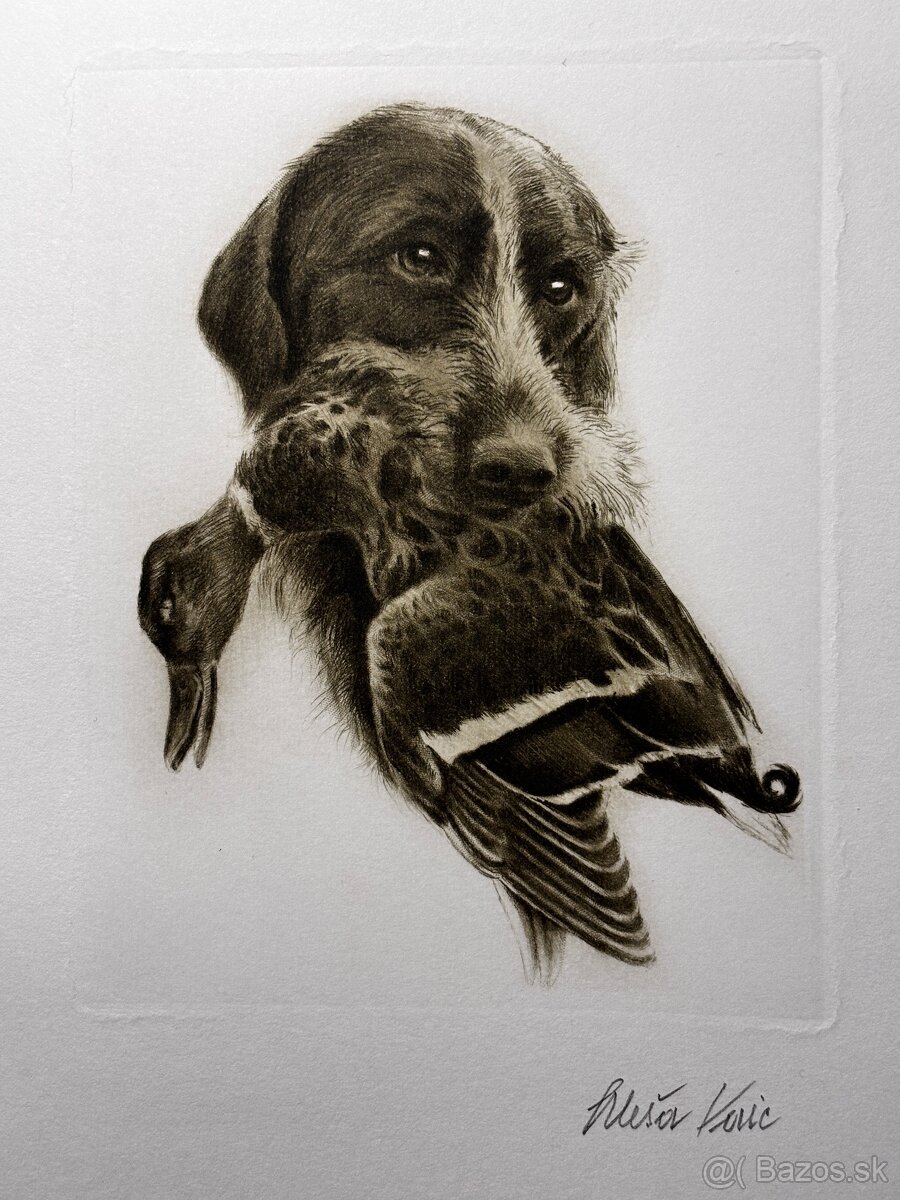 Aleš Vaic - lovecka tematika - 10