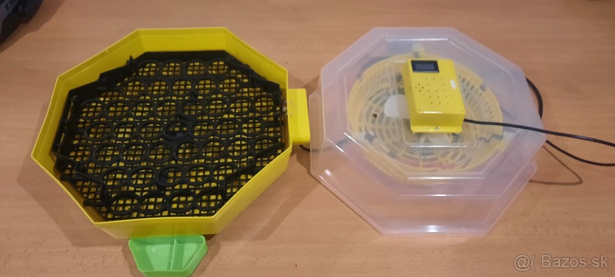 Automatická Liaheň na vajcia CLEO 5 DTH AUTOMATIC - 10