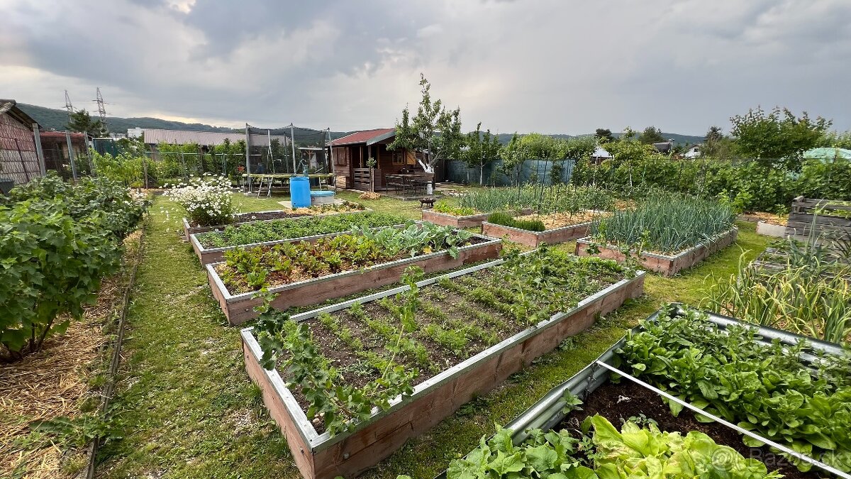 Záhrada s chatkou a studňou – Žabí majer - 10
