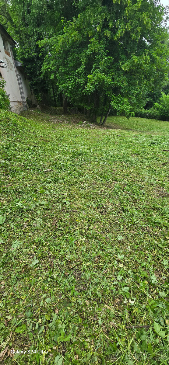 Pilenie a orezavanie stromov - rizikove - 10