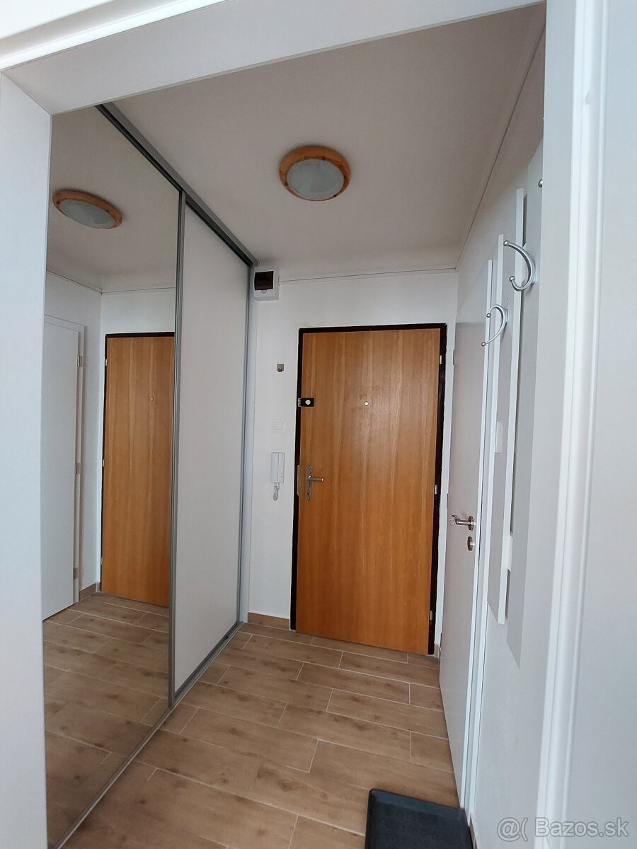 1izbový byt na prenájom - 10
