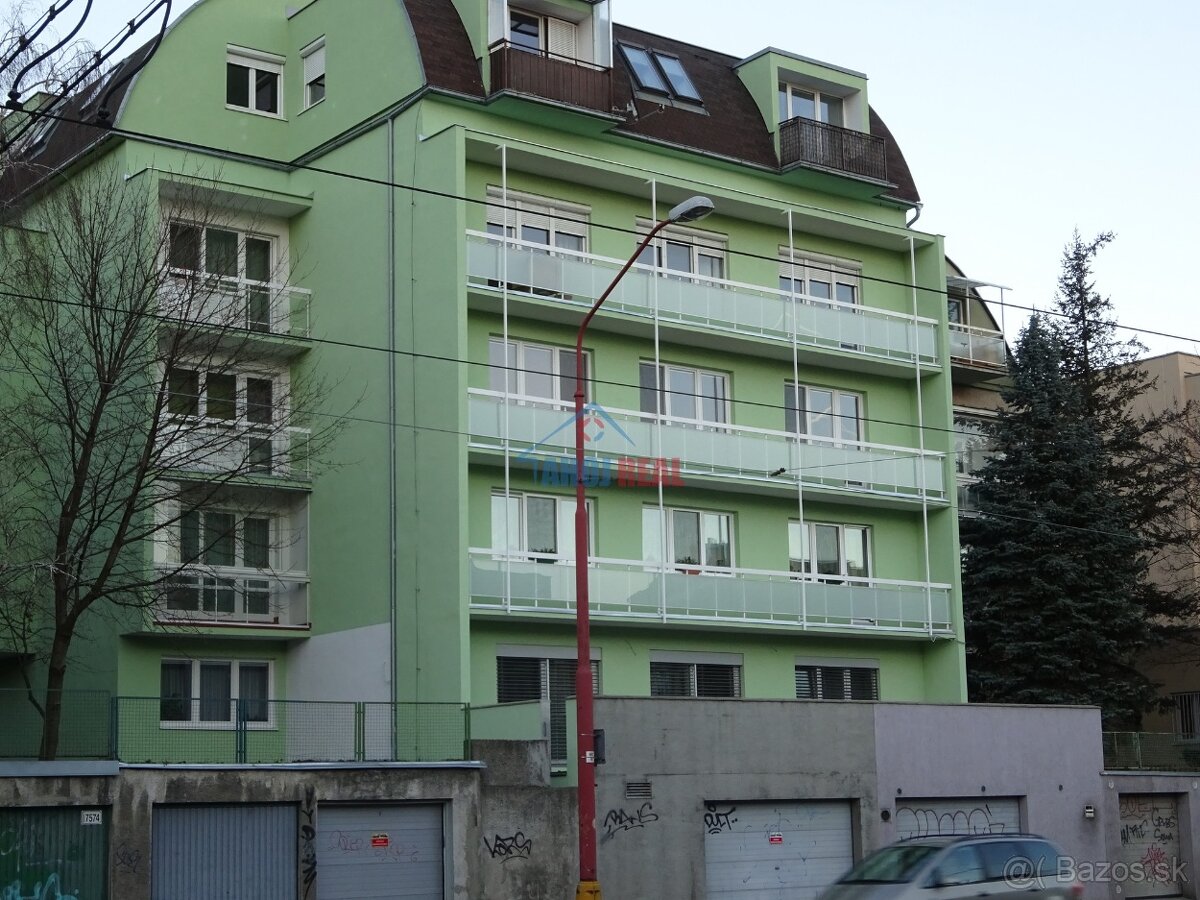 Staré Mesto NOVOSTAVBA, aj krátkodobo, môže aj PSÍK, mačka - 10