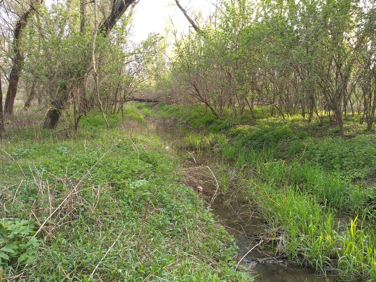 Stavebný pozemok so záhradou a lesom, 2716m2 - 10