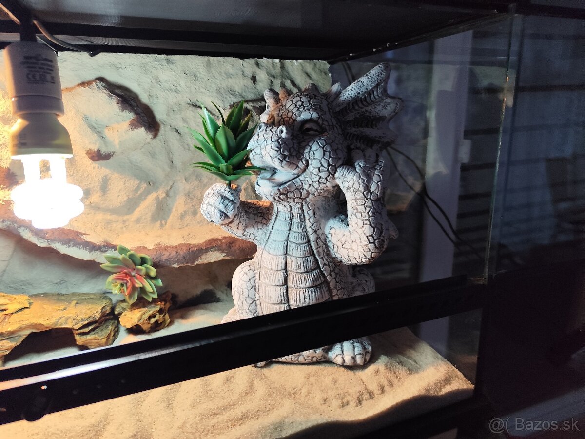 Agama bradatá s terariom Exo terra - 10