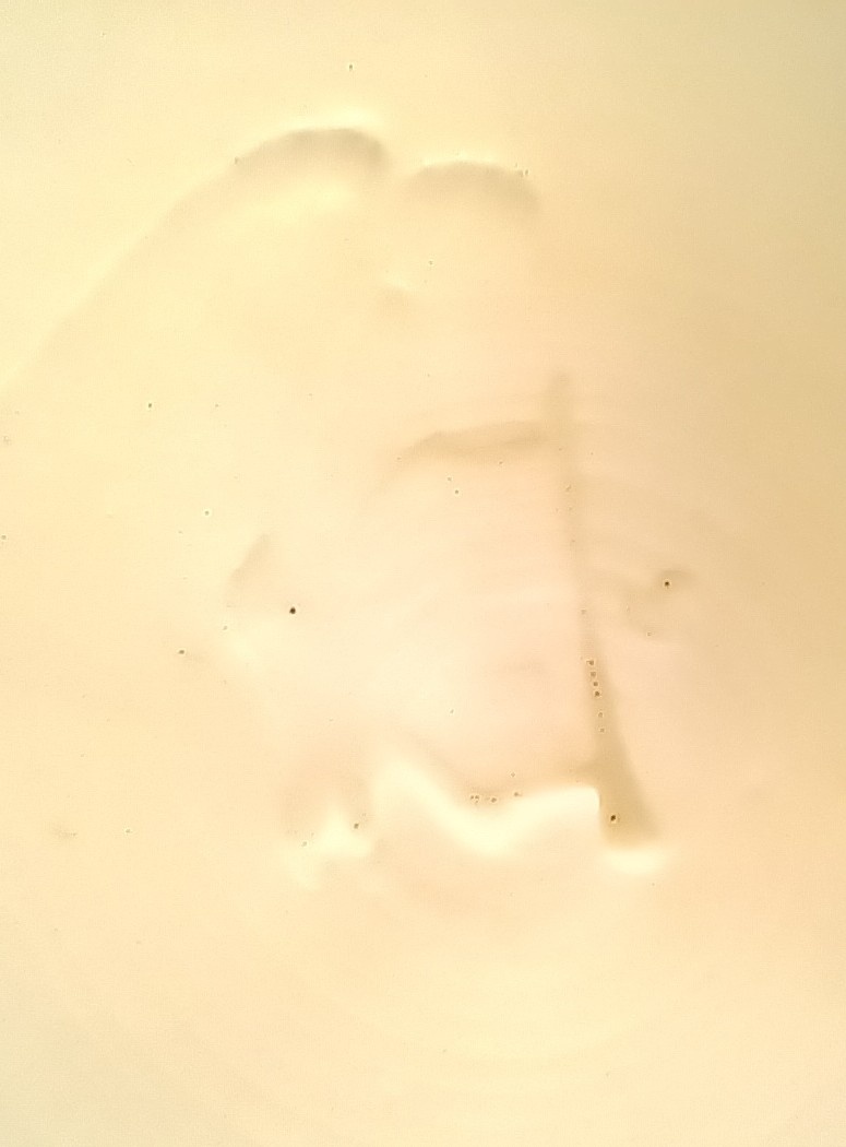 Maľované taniere - 10