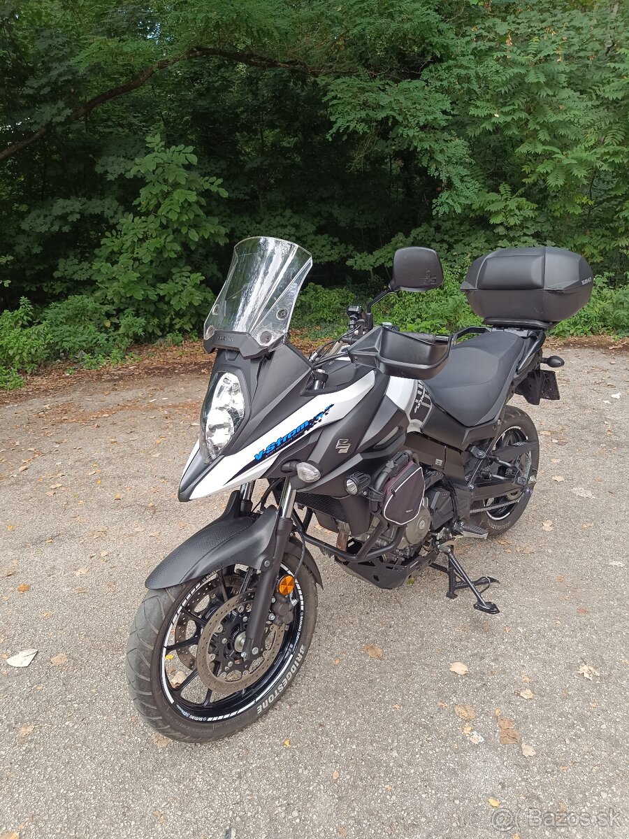 Suzuki v strom - 10