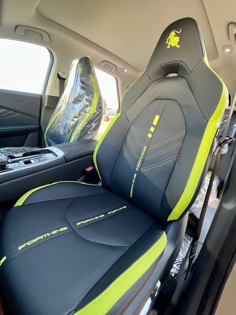 Nový Dongfeng Forthing T5 Evo HEV 1.5 A/T - 10