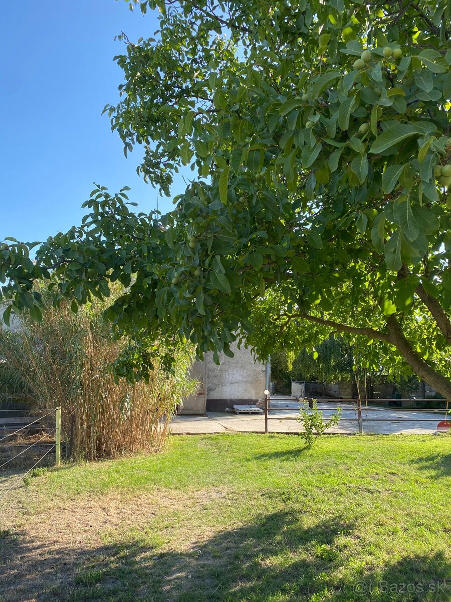 Ustajnenie koní – Jazdecký klub ALEXANDRIA, Hviezdoslavov - 10