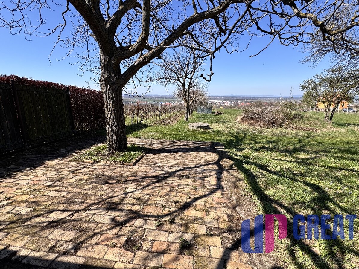 Pozemok s nádherným výhľadom na Skalicu–vinohrad so sklepom - 10