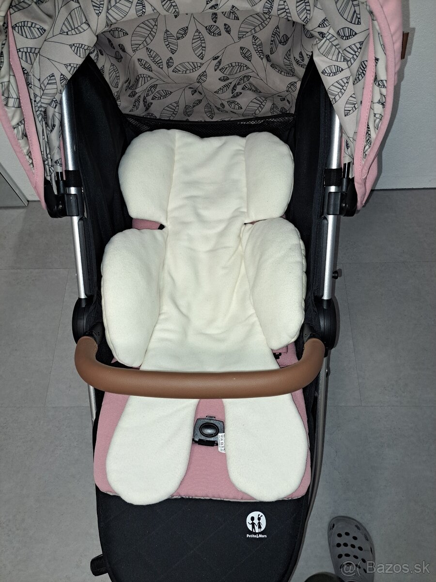 Kočík Pettite and Mars - 10
