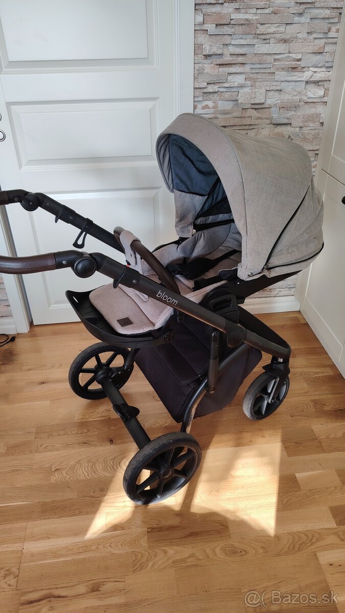 Kočík Roan bloom - 10