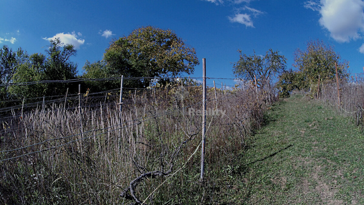 Stavebný, oplotený a slnečný pozemok s vinicou - obec Janík - 10
