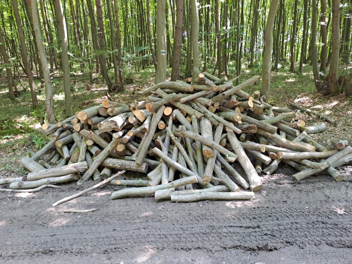 Predám palivové drevo metrina - 10